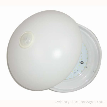 New Design Induction LED Ceiling Lamp